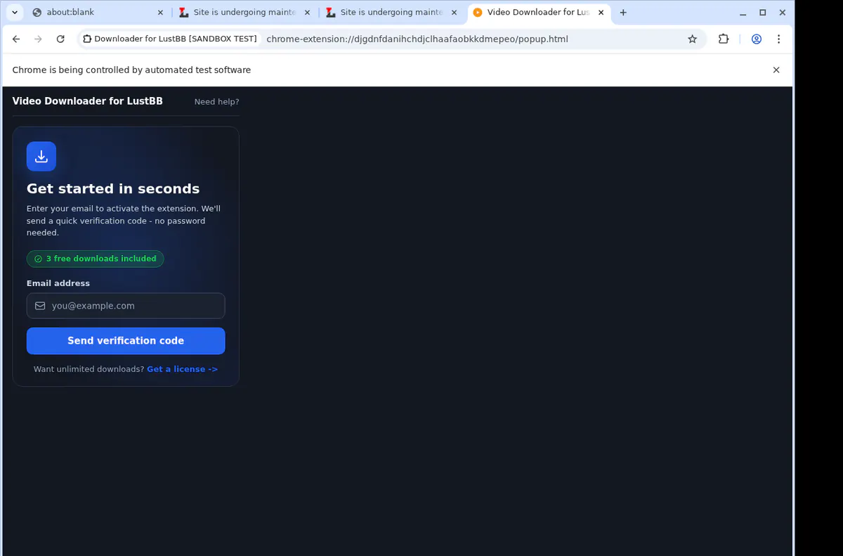 Lustbb Video Downloader browser extension screenshot 3