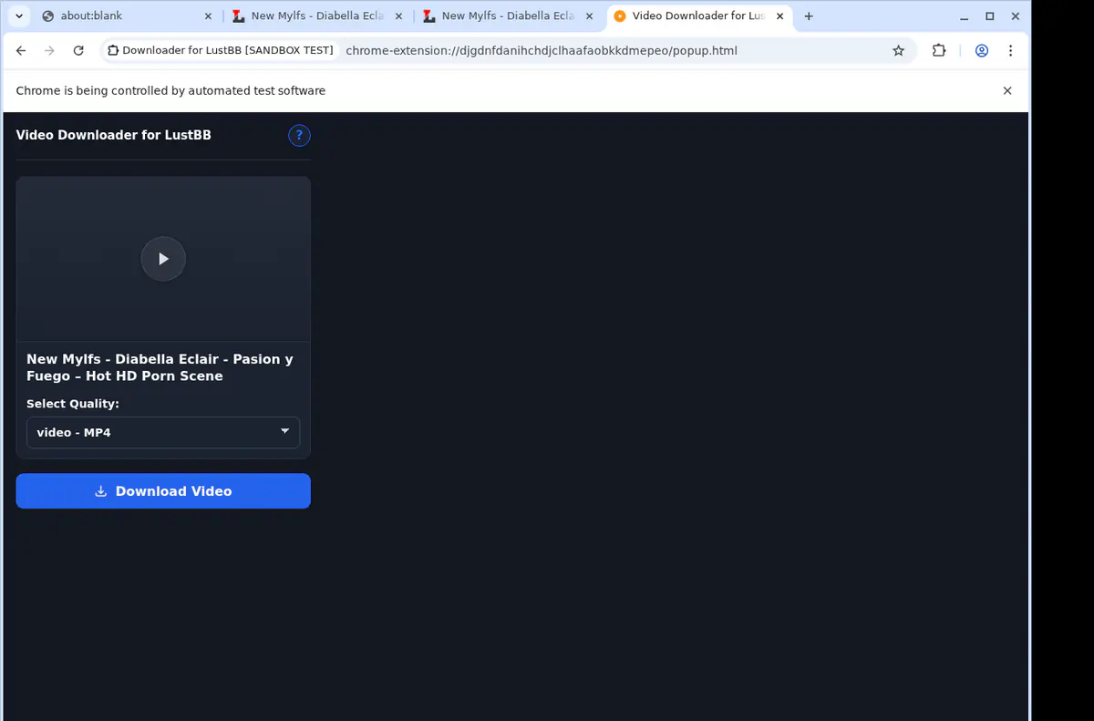 Lustbb Video Downloader browser extension screenshot 4
